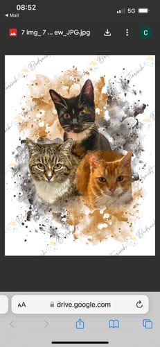 Charlotte B. review of Your Cat as Watercolor Portrait image 1 out of 1