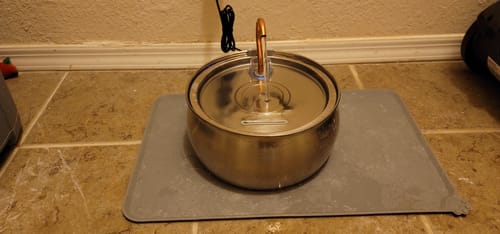 Customer photo review of 20% CashBack