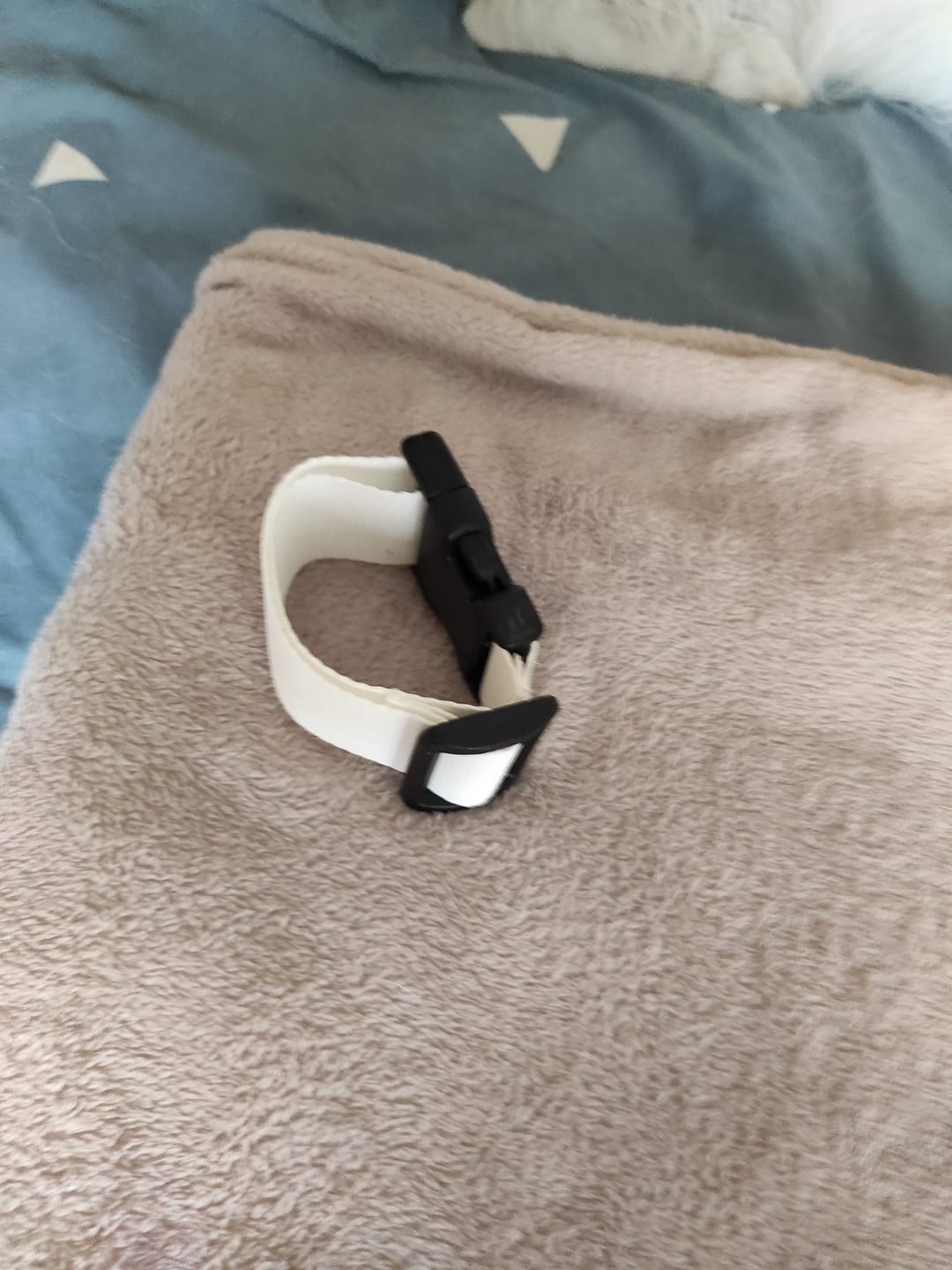 Customer photo review of Extensible para añadir a la cinta ajustable de cadera (ORIGINAL/STANDARD)