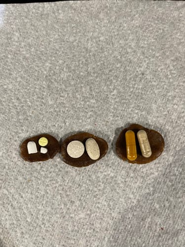 Customer photo review of Wrap-A-Pill Bacon Flavor Pill Paste – 4.2 oz