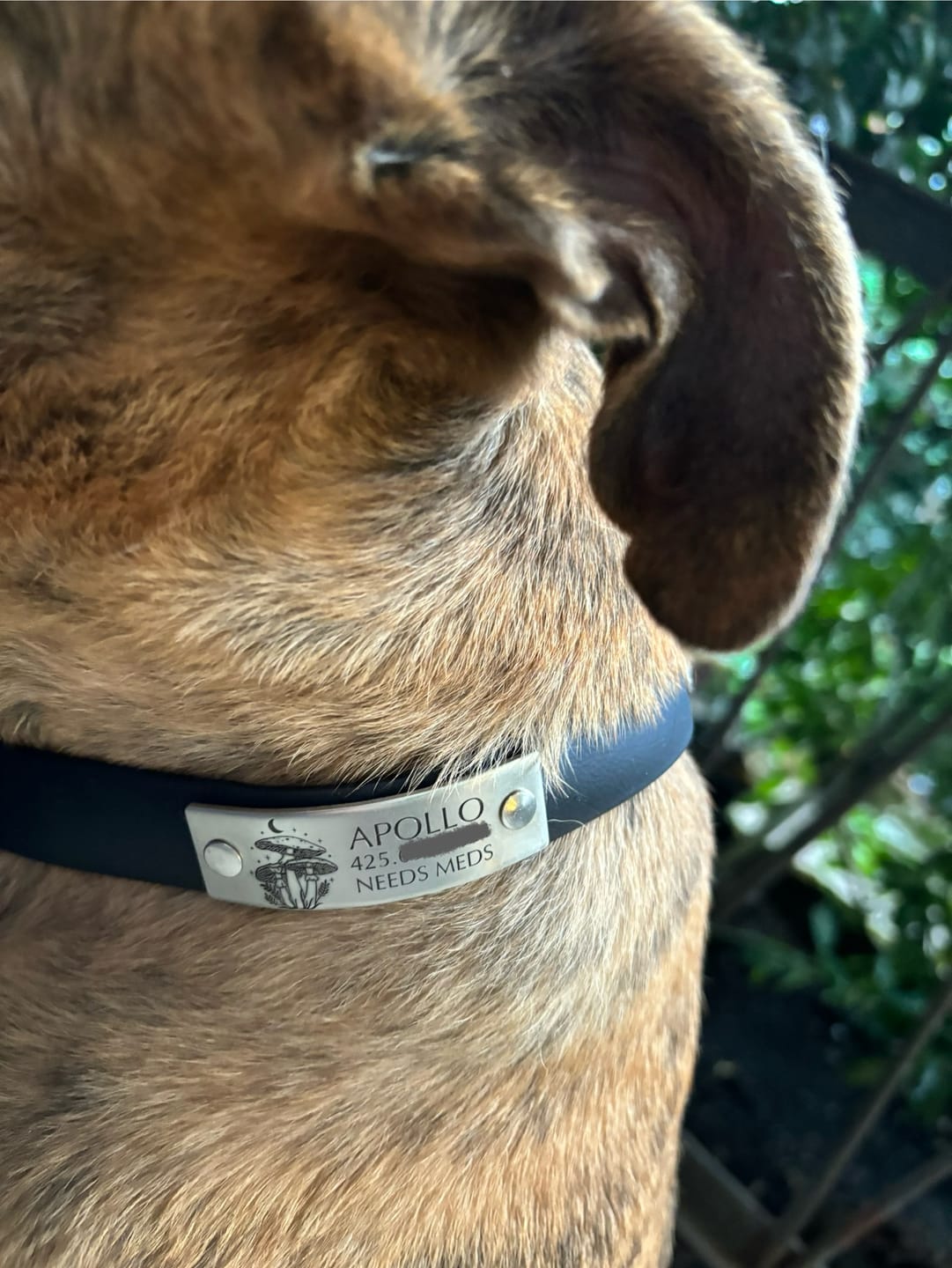 Customer photo review of Designer Rivet-On Tag