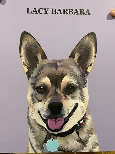 Customer photo review of The Passport - Custom Pet Canvas