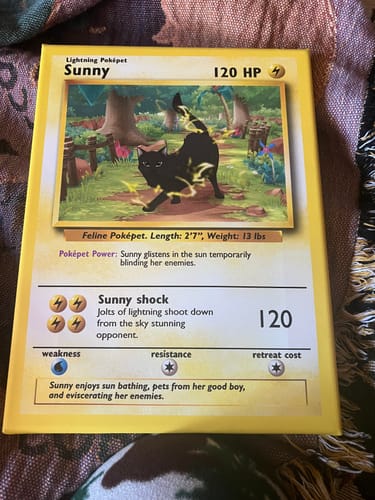 Customer photo review of PokePet Canvas