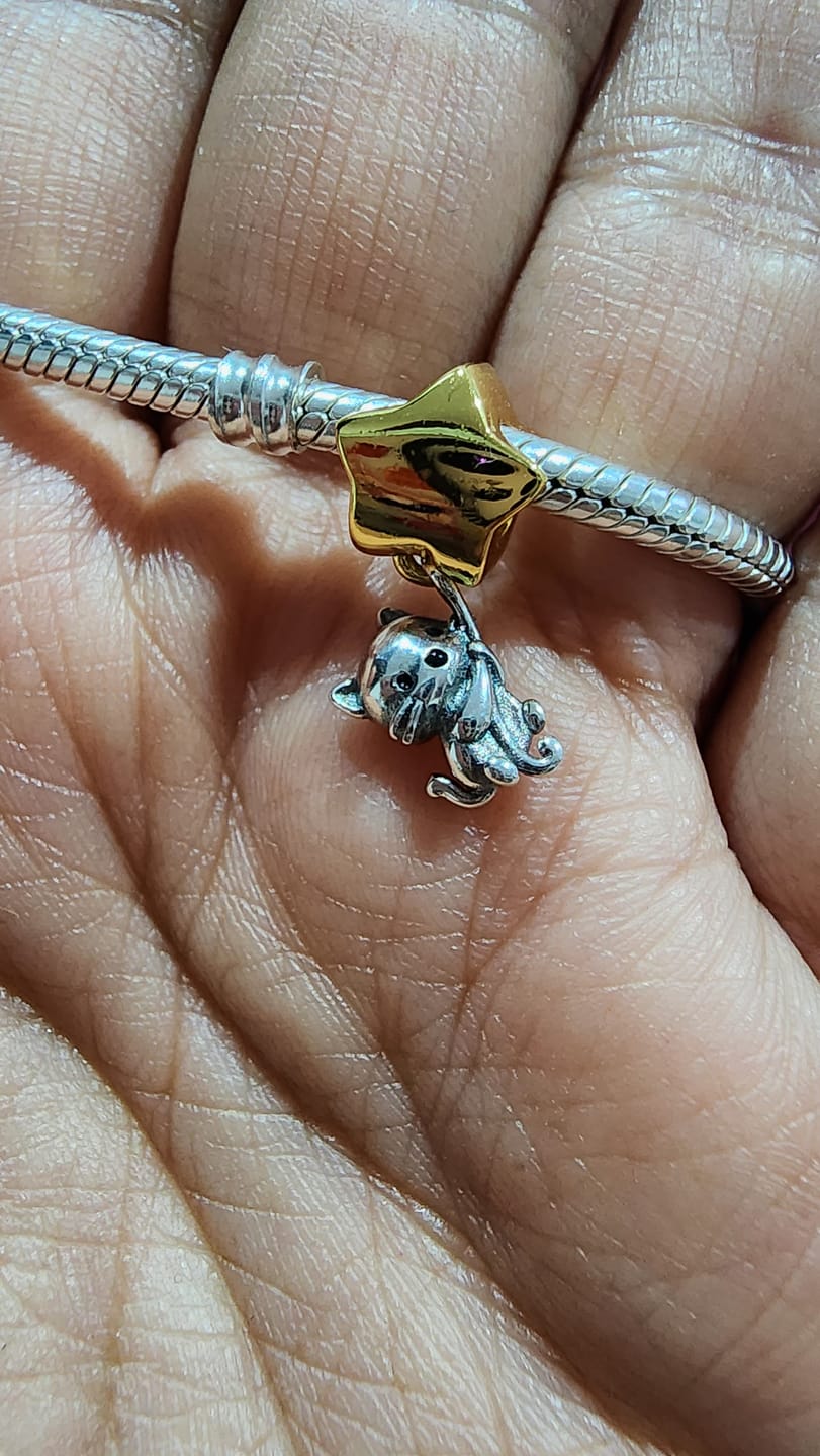 Customer photo review of Charm Gatito & Estrella Dorada