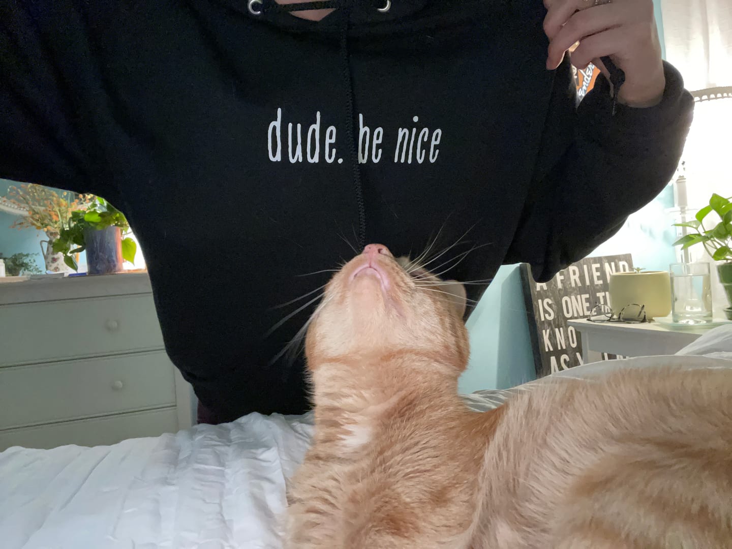 Customer photo review of dude. be nice Hoodie (Mint & Chip Collection)