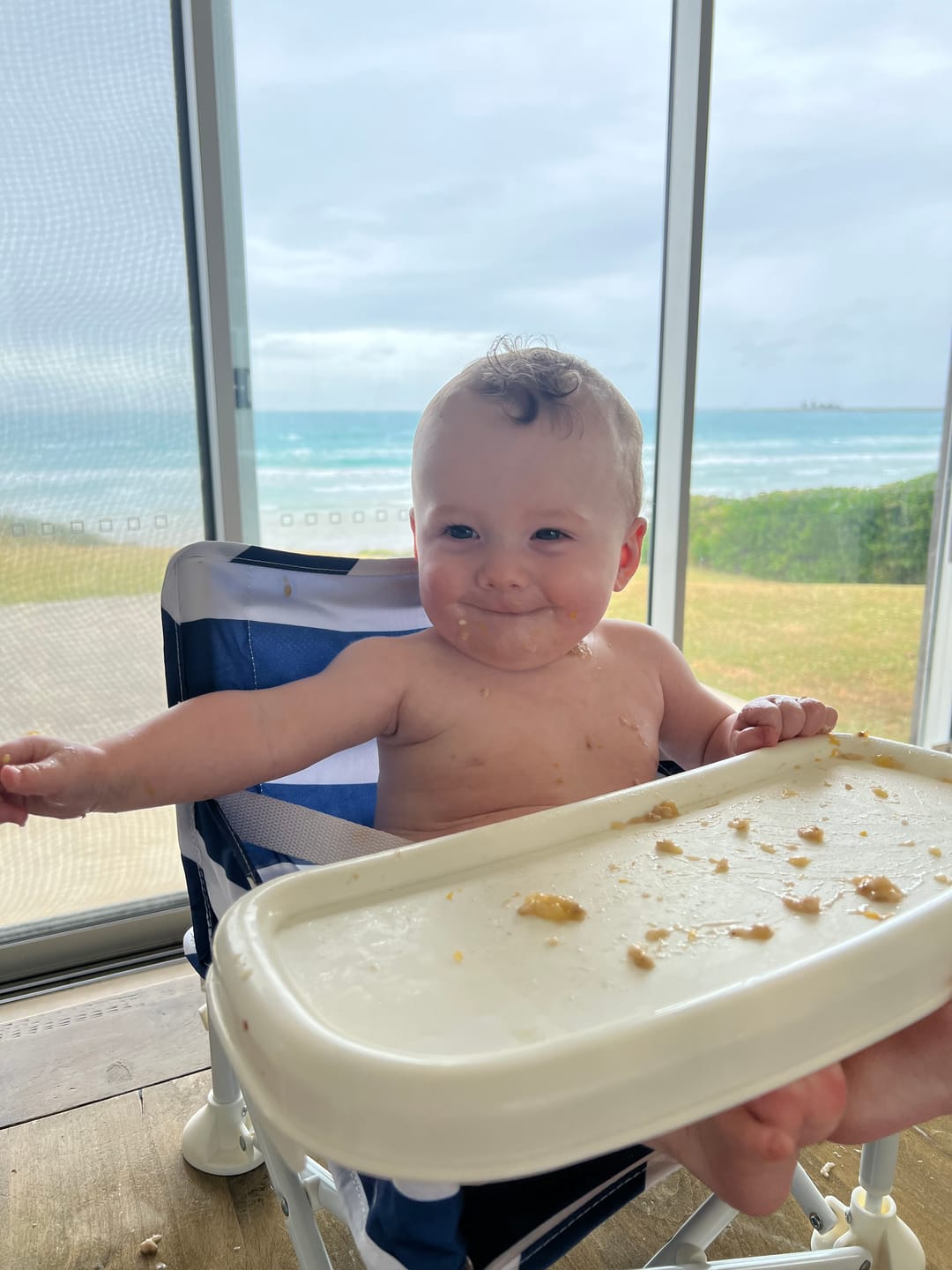Customer photo review of Baby Travel Booster Seat