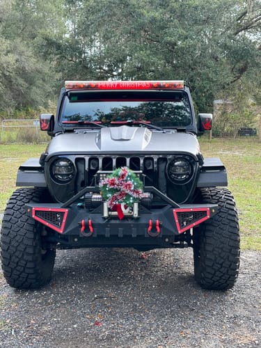 Customer photo review of Christmas Lights Light Bar Insert