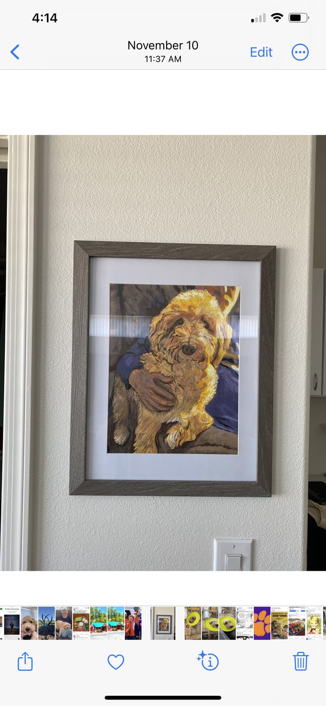 Customer photo review of Custom Pet Paint by Numbers | Just Upload Your Photo!