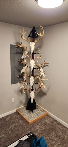 Customer photo review of European Trophy Mount - Medium Hook