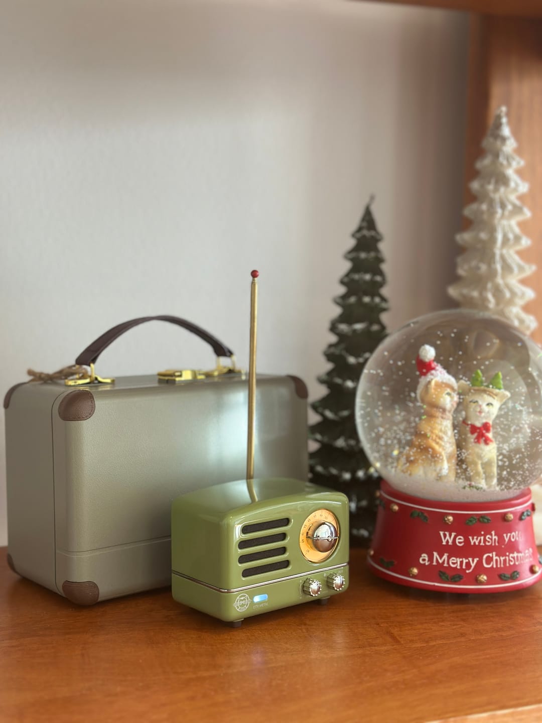 Customer photo review of MUZEN OTR Metal Wireless Portable FM Radio Bluetooth Speaker
