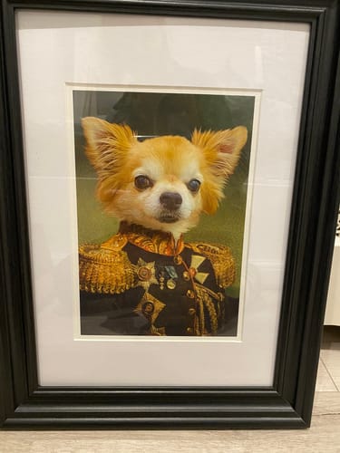 Customer photo review of The General - Custom Vintage Pet Portrait