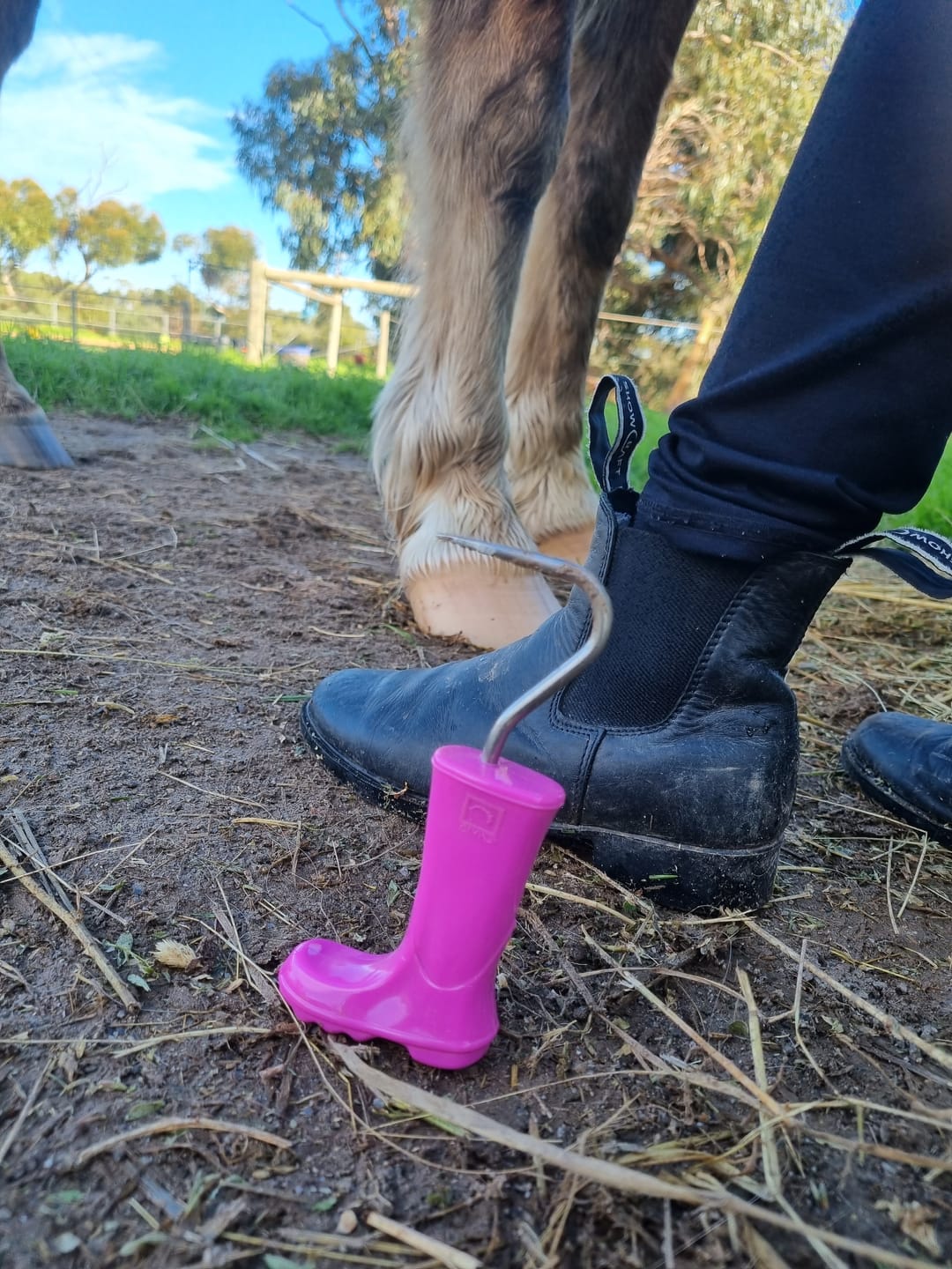 Customer photo review of Mighty Muck Hoof Pick, Magenta