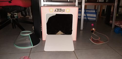 Avis photo d'un client sur Croquettes Chat Stérilisé Sans Céréales - Poulet
