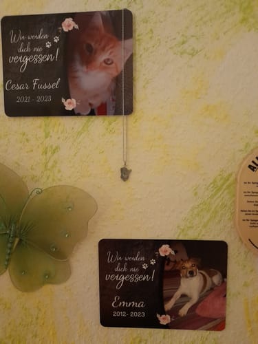 Customer photo review of Hunde Gedenktafel mit Foto & Spruch (UV- &  Wetterfest)