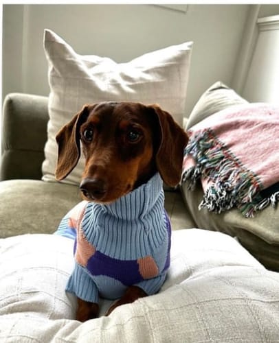 Customer photo review of Groovy sweater