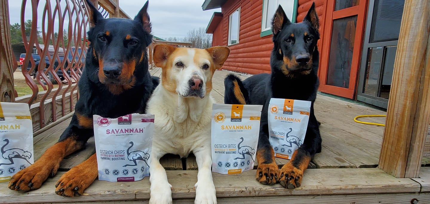 Customer photo review of Hypoallergenic Ostrich + Superfoods 6-item Bundle - 40% off