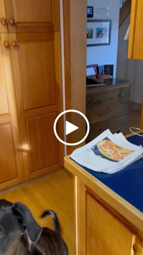 Customer video review of 4-Pro Fish Mix (Perfectly Raw™)