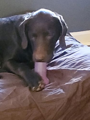 Customer photo review of Freezbone