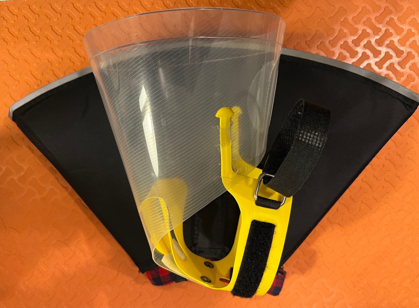 Customer photo review of NovaGuard Recovery Collar