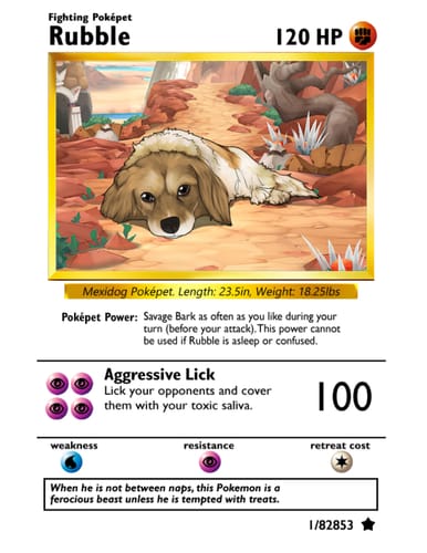 Customer photo review of Number of Pokepets and Trainers