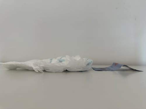 Customer photo review of AirDream Diapers