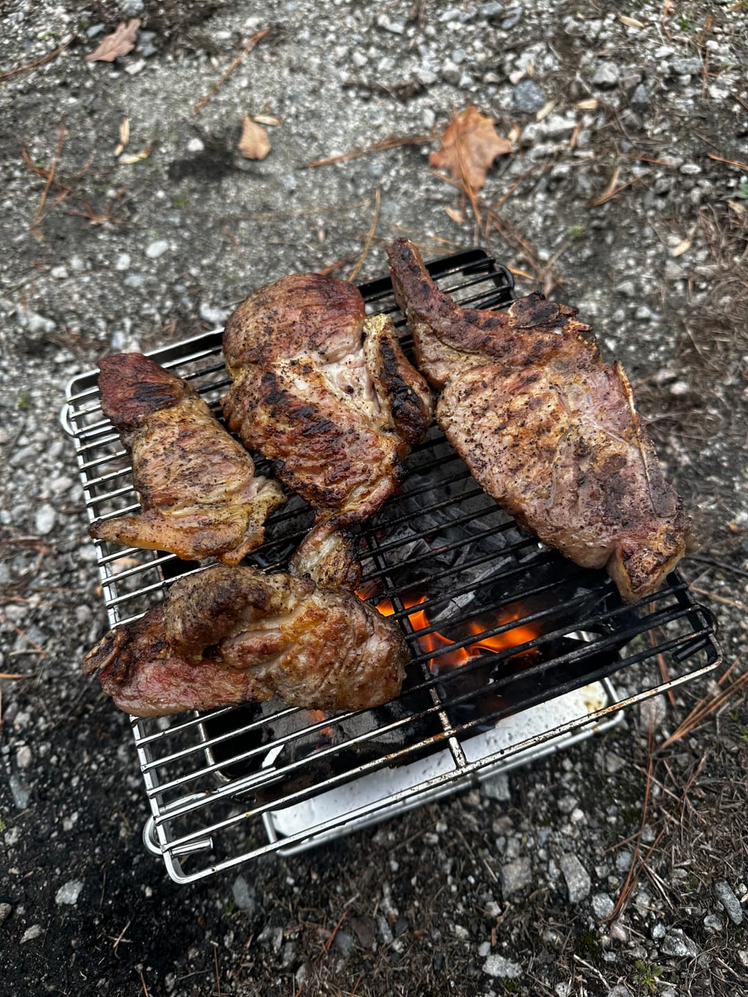 Customer photo review of Flatpack Grill, Stove, & Pit [BLACK FRIDAY SALE]