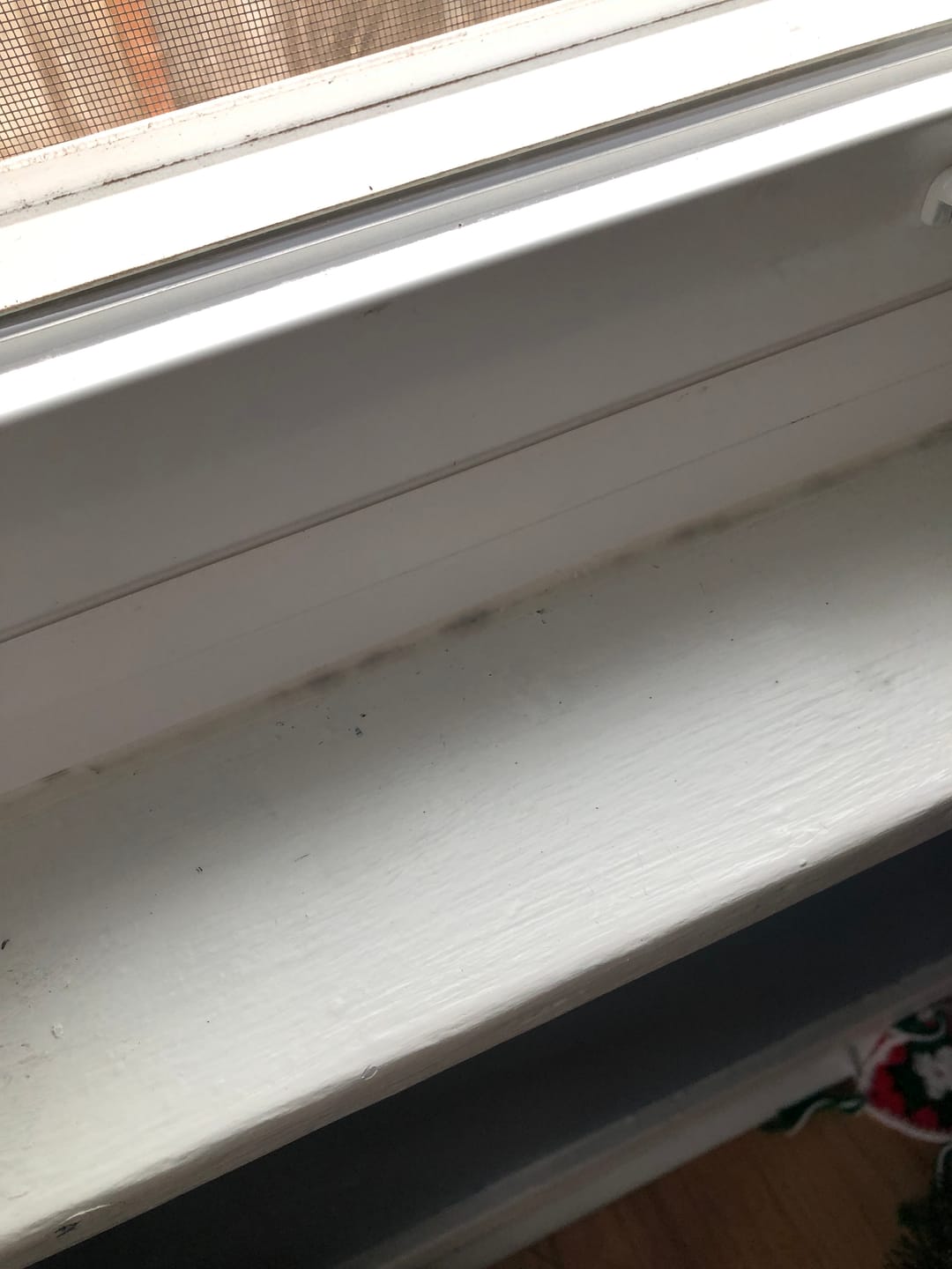 Customer photo review of GLASSGUARD™ Miracle Mold Removal Gel