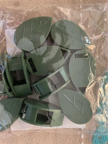 Customer photo review of FloraGrip - Fixations pour plantes grimpantes