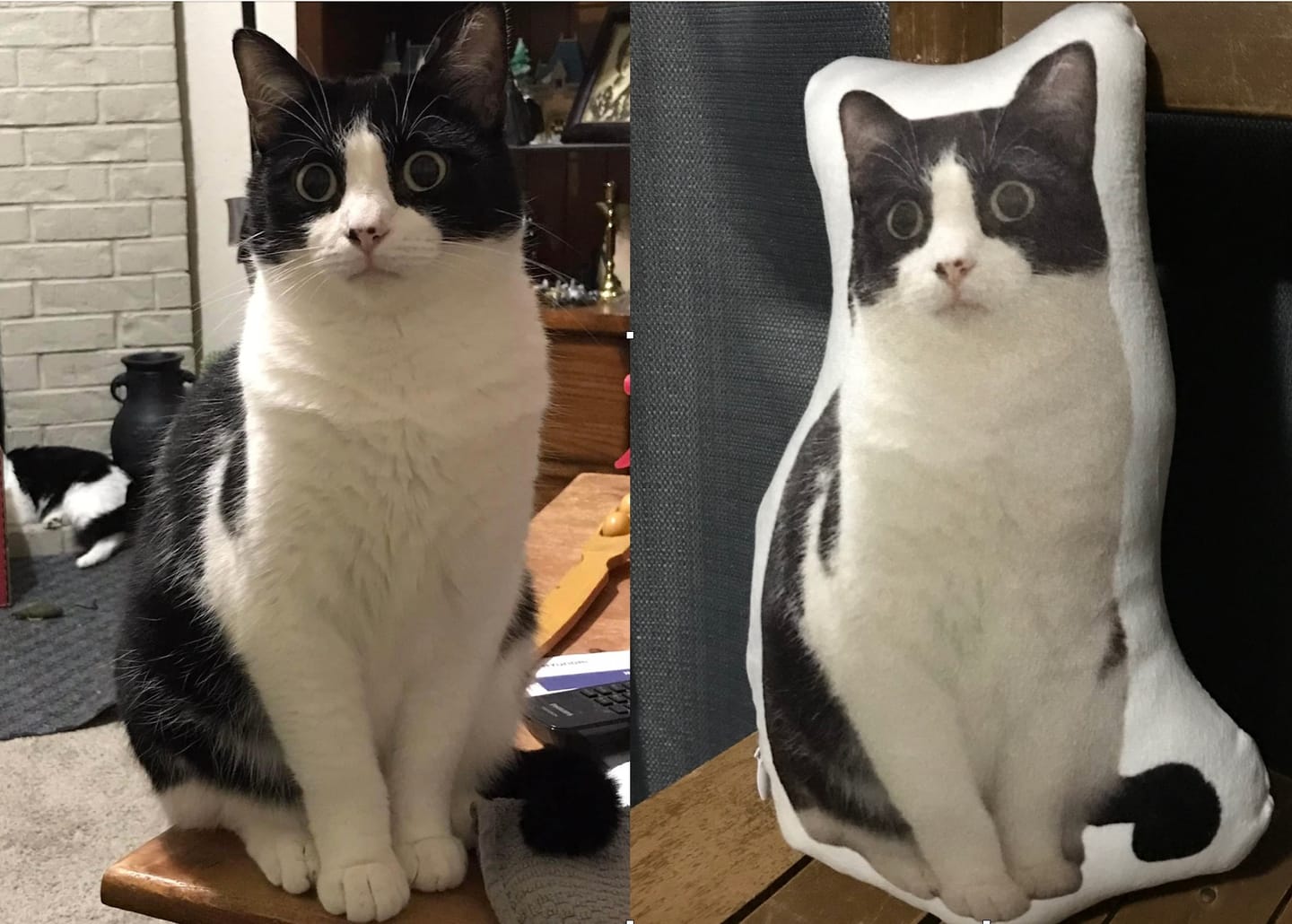 Customer photo review of Custom Pet Projection Memorial Keychain with Your Pet Photo as Gift for Loss of Pet