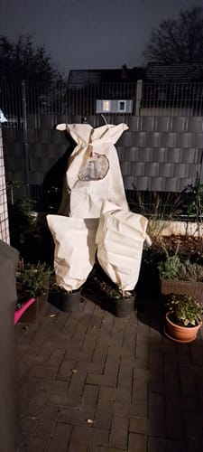 Customer photo review of Winterschutz für Kübelpflanzen S H 80 x B 60 cm Ø 38 cm