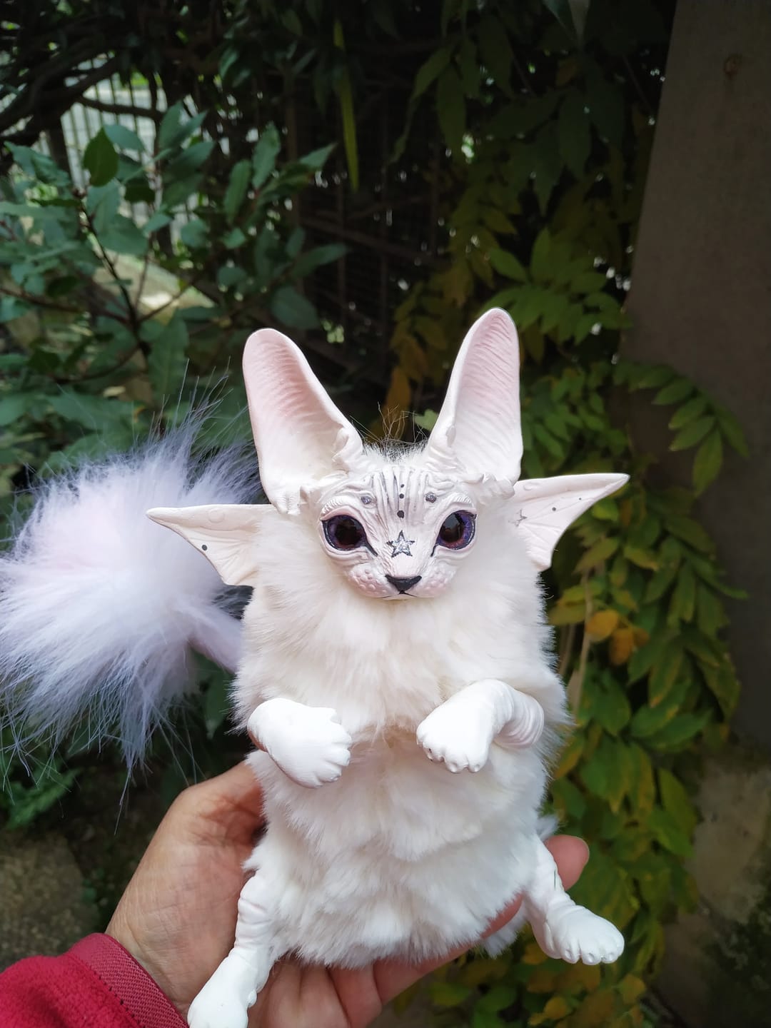 Customer photo review of Starry-white baby batcat