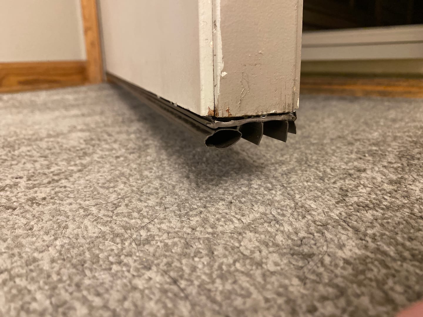 Customer photo review of Therma-Tru Drive-On Door Sweep