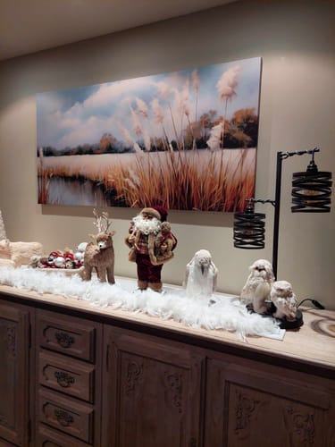 Customer photo review of Calmi Colori