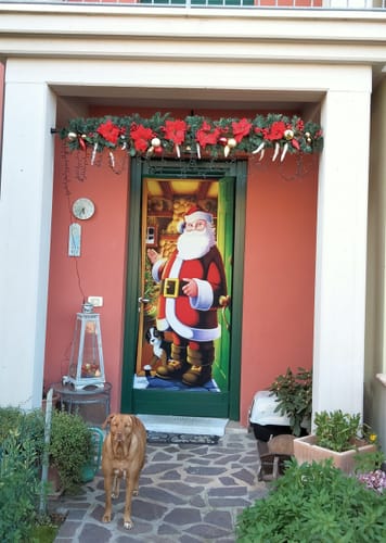 Customer photo review of Incubo prima delle decorazioni per esterni di Natale