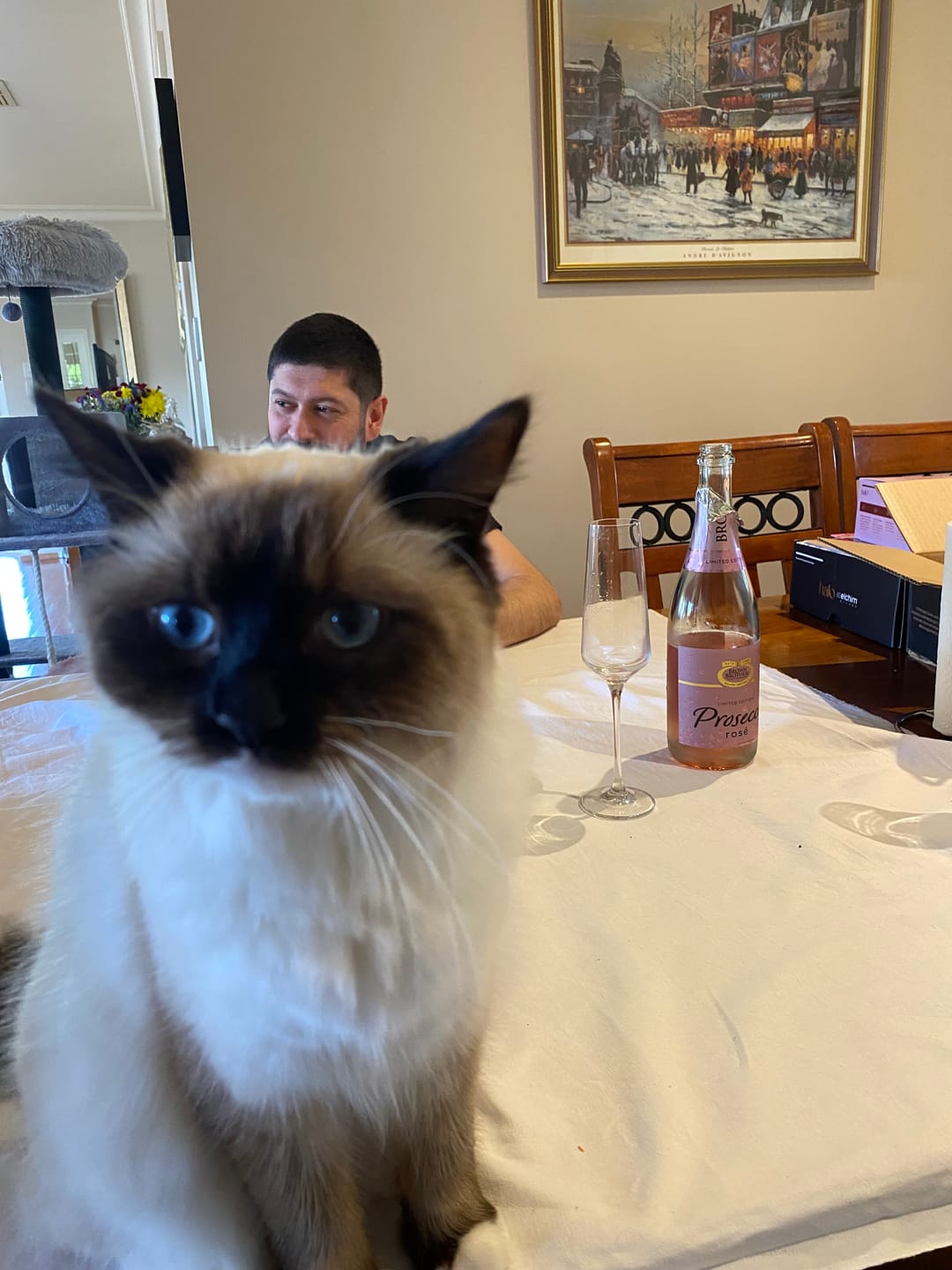 Customer photo review of Prosecco Rose in Bloom