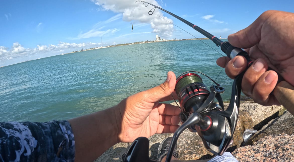 Customer photo review of Green 8X- Ultra Performance 8 Strand