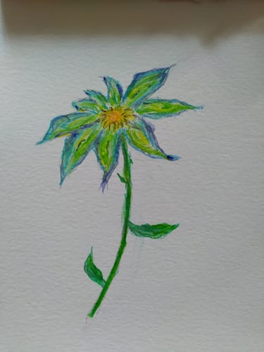 Customer photo review of 60 Pièces Crayons Aquarelle Sans Bois Dans Un Étui À Fermeture Éclair