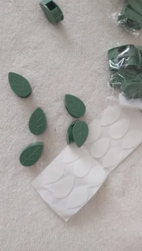 Customer photo review of FloraGrip® - Fixations pour plantes grimpantes