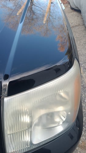 Customer photo review of Limited LGND39™ Blueberry Show-Shine