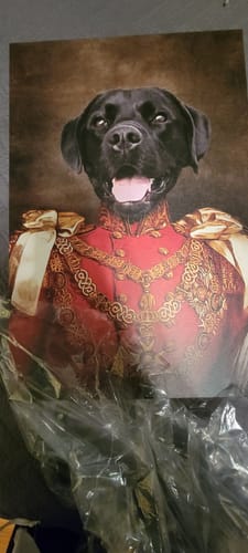 Customer photo review of 'Sergeant Bork' Personalized Pet Canvas