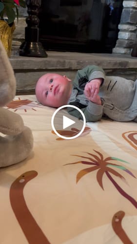 Customer video review of The Wild Savannah · Maxi