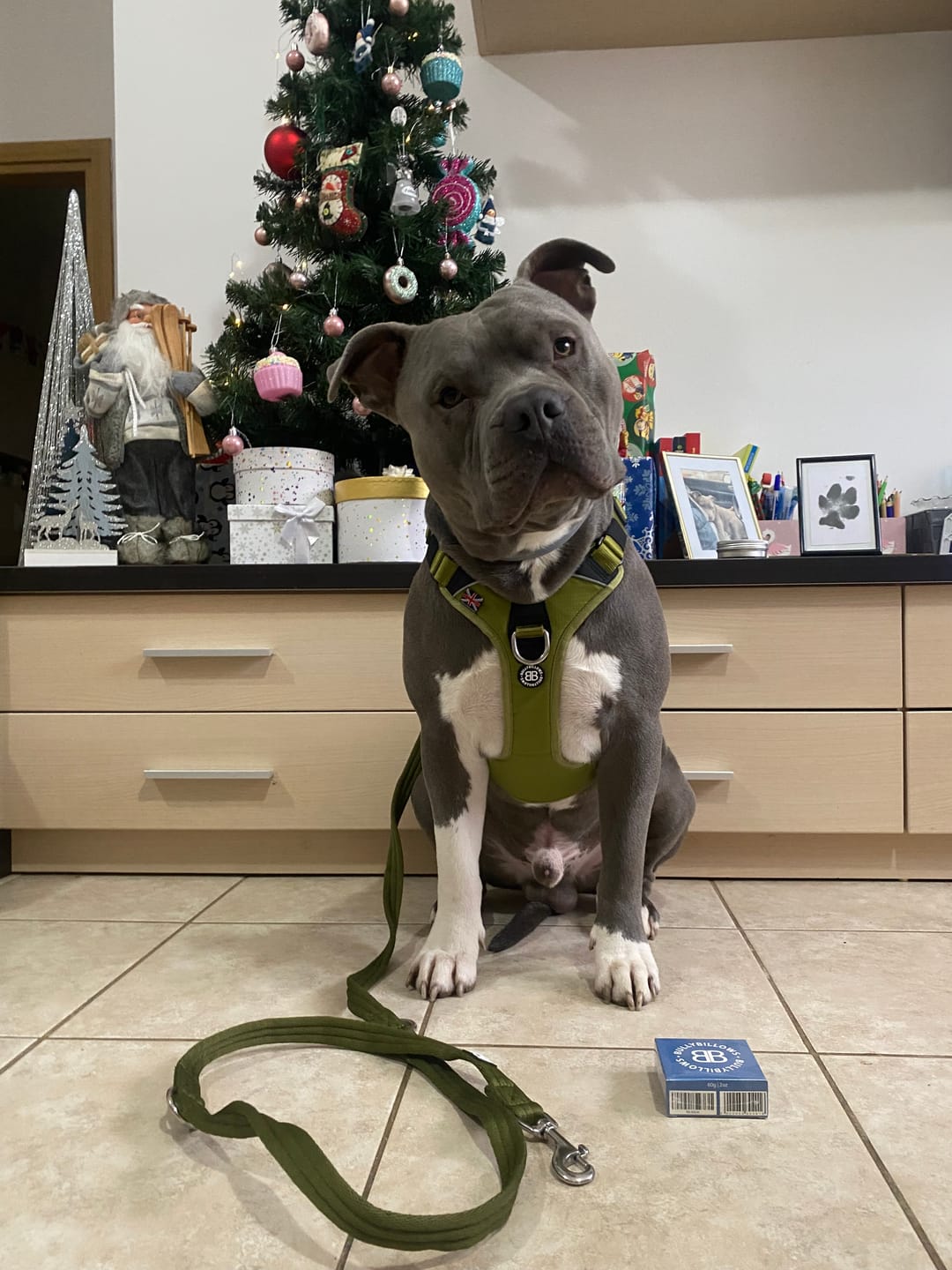Customer photo review of Double Ended Training Lead | All Breeds - Durable & Soft 2m Lead - Khaki