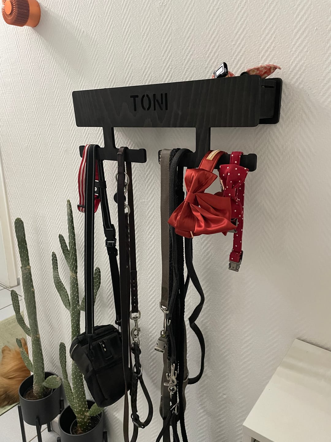 Customer photo review of PERSONALISIERUNG: Hundegarderobe XL