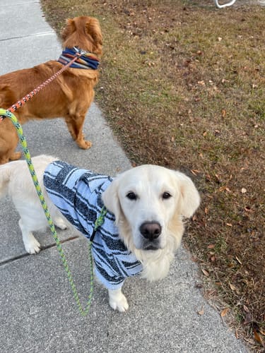 Customer photo review of Playa Poncho - Surprise Color