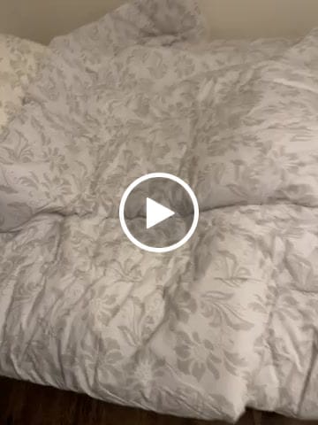 Customer video review of Floral Neutral Grey 5-Piece Comforter Set (Queen / King Size)