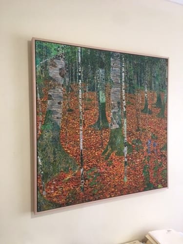 Customer photo review of Birch Forest, 1903 by Gustav Klimt