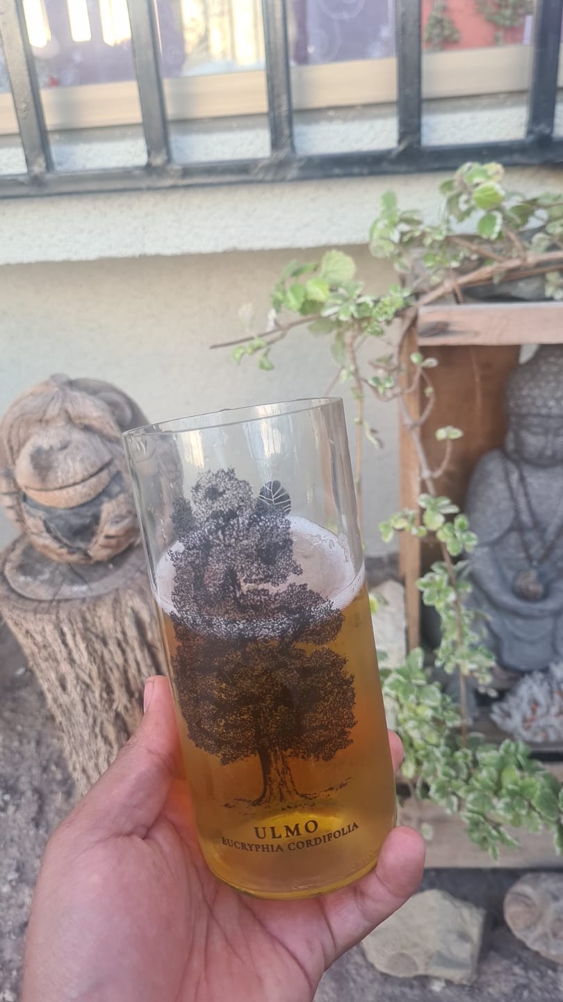 Customer photo review of Juego de 6 Vasos Árboles de Chile