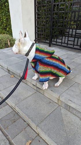 Customer photo review of Playa Poncho - Surprise Color