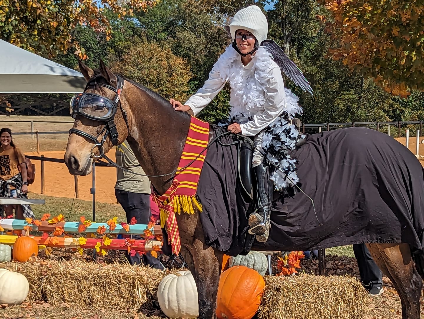 Customer photo review of eVysor - UV Horse Riding Goggles!