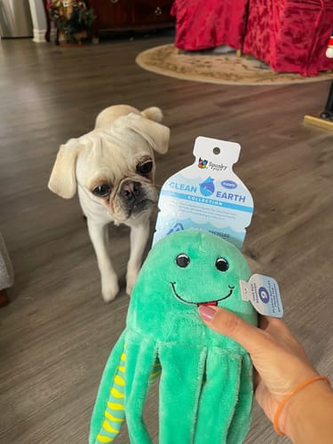 Customer photo review of Clean Earth Plush - 100% Sustainable